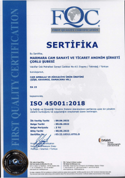 ISO 45001 TR-1