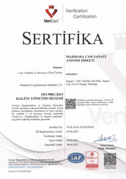 ISO 9001 TR-1